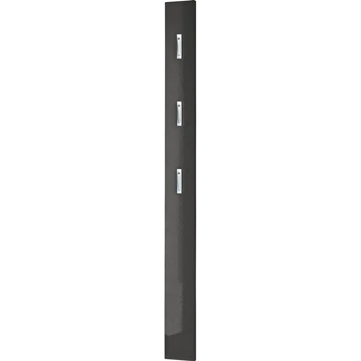 Germania Garderobenpaneel 3255-547, mit DREI ausklappbaren Kleiderhaken aus Metall, in Anthrazit Hochglanz, 15 x 170 x 3 cm (BxHxT)
