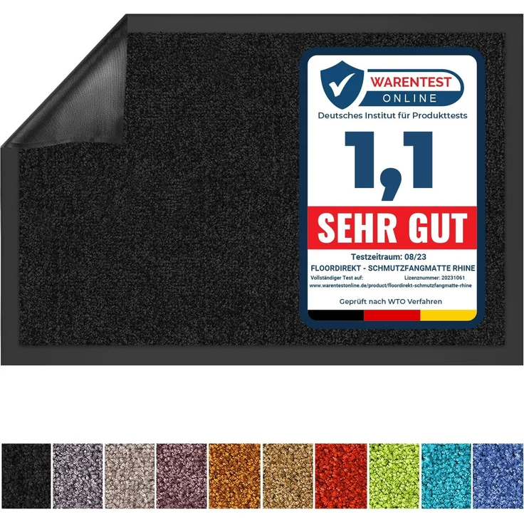 Floordirekt Schmutzfangmatte Rhine - waschbare & leistungsstarke Fußmatte - Sauberlaufmatte mit Rutschfester Rückseite - Türmatte für den Eingangsbereich (Schwarz, 40x60 cm)
