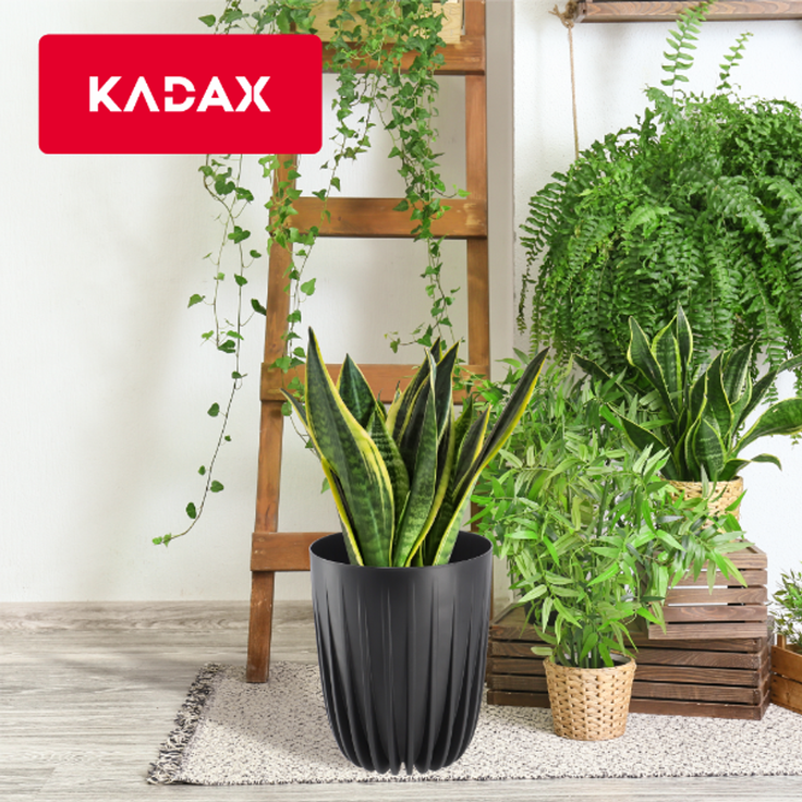 KADAX Blumentopf Eco Cover + schwarzer Einsatz 25x30 cm – Bild 7