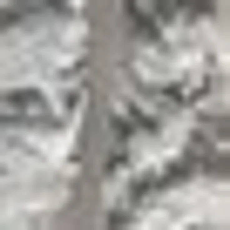EXPLORER Türvorhang (1 St), Hakenaufhängung, blickdicht, Chenille – Bild 2