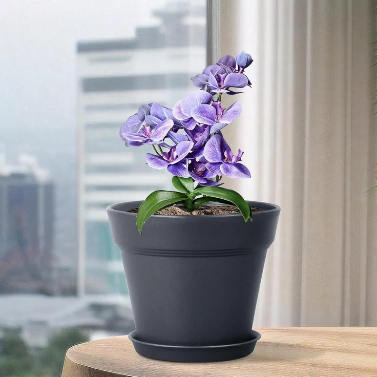 Blumentopf Set 8er Packs 10cm mit Untersetzer Schwarz Hydrokultur Topf – Bild 6