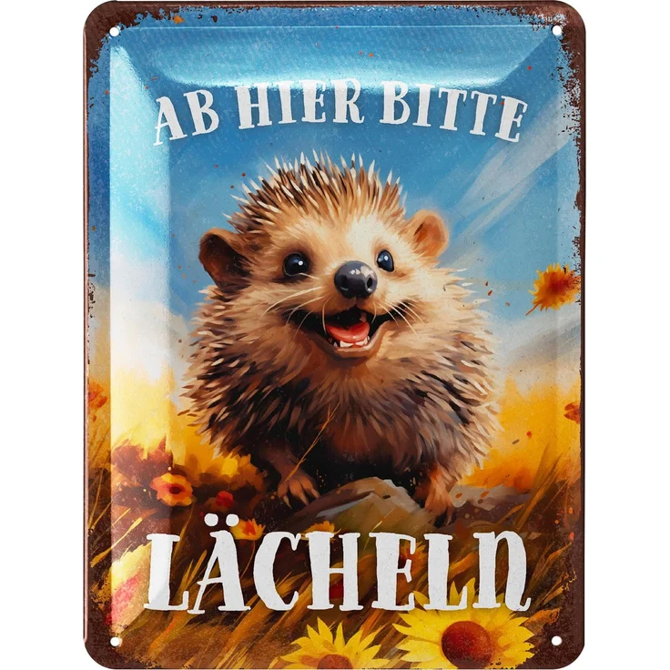 LANOLU Blechschild Ab hier bitte lächeln - 15x20cm – Metall – Mehrfarbig – 15247 – Bild 1