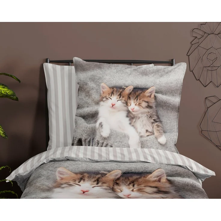 Pure Microfaser Bettwäsche 135 X 200 cm + 1- 80 X 80 cm Snooze kitten cats grau – Bild 2