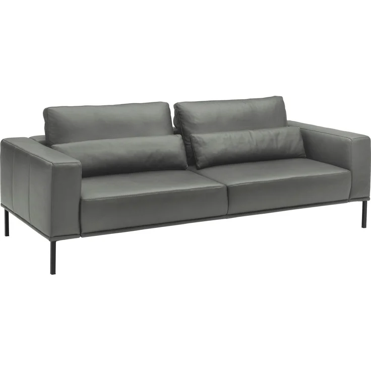 Musterring 2,5-Sitzer JustB!PM100, 202 cm breit, aus hochwertigem Leder, wahlweise mit Nierenkissen und mot. Sitzauszug, Metallfuß in schwarz – Bild 2