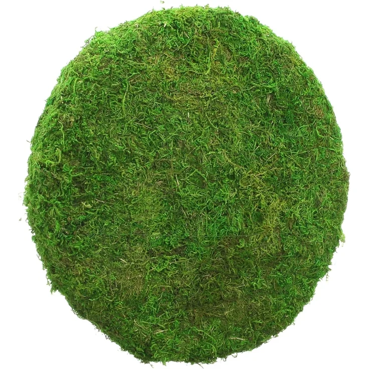 Dekoplatte "Moos" Dekoration dekorieren Deko Tischdeko Tisch Arrangement – Bild 2