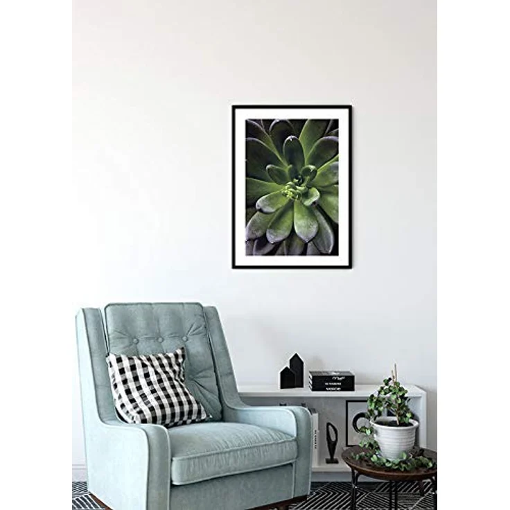 Komar Wandbild Succulent Single, hochwertiger Kunstdruck auf Premium-Poster Fotopapier, ohne Rahmen, 50 x 70 cm – Bild 4