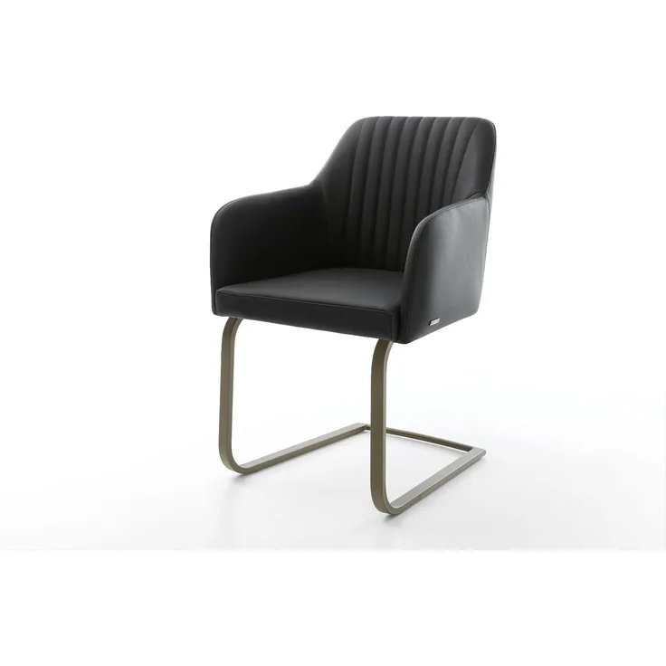 Freischwinger Greg-Flex Echt-Leder Schwarz Freischwinger flach Effektfinish Titan Taschenfederkern