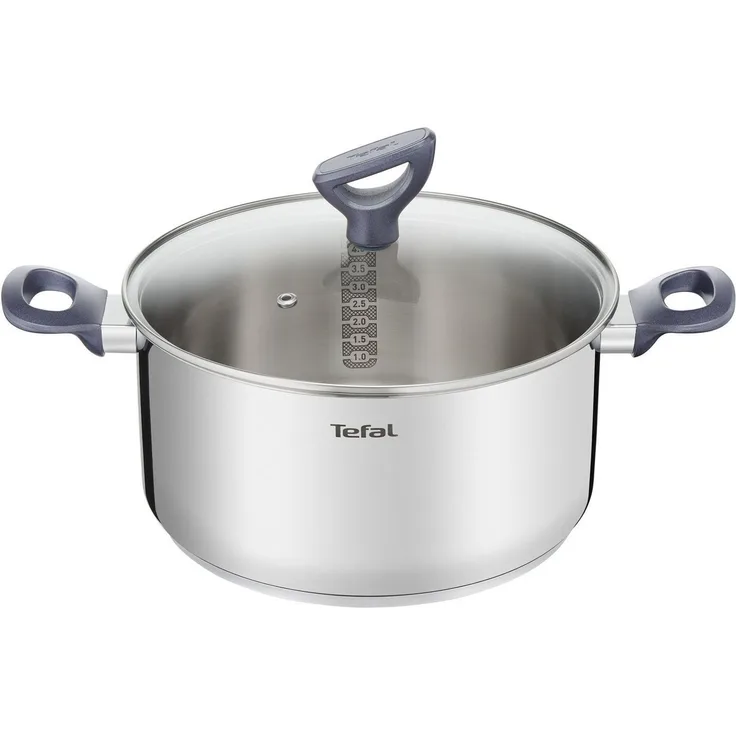 Tefal Kochtopf Daily Cook, Edelstahl, Edelstahl-Topf mit stehendem Deckel,Ausgießer,alle Herdarten,Induktion