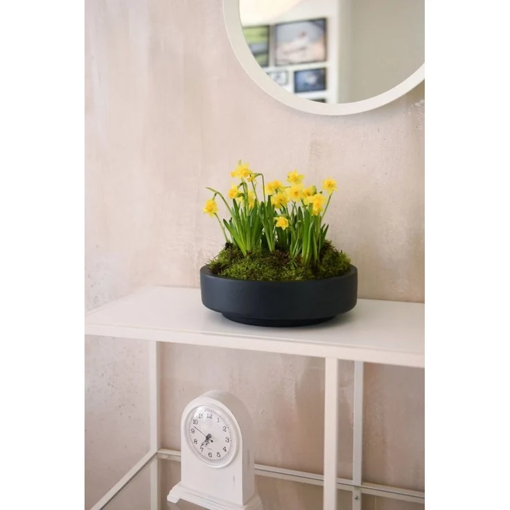 VIVANNO Pflanzschale Fiberglas ESCADA LOW Schale - Anthrazit Matt (1 St), 37x37x10 cm – Bild 2