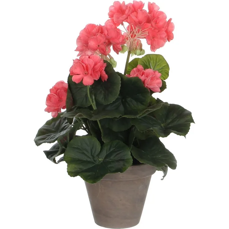 Mica Geranium im Topf lachs, 34 x 20 cm