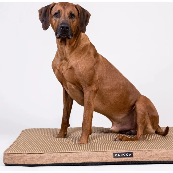 PAIKKA Orthopädische Kühlmatratze taupe, Maße: 60 x 45 cm – Bild 2