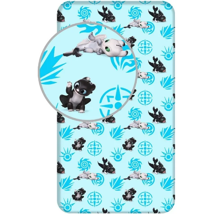 Tinisu Spannbettlaken Drachenzähmen leicht gemacht Spannbettlaken - 90x200 cm Einzelbett