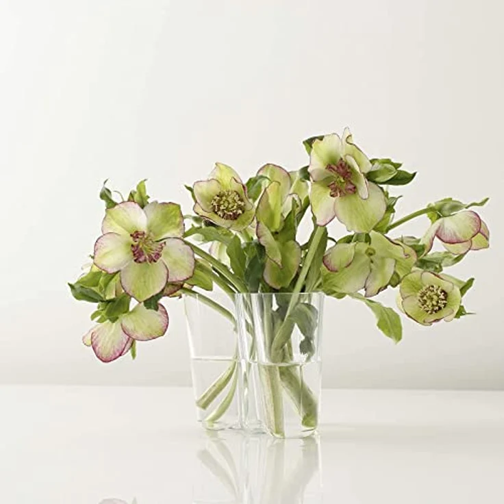iittala Alvar Aalto Collection Vase 95 mm klar – Bild 3
