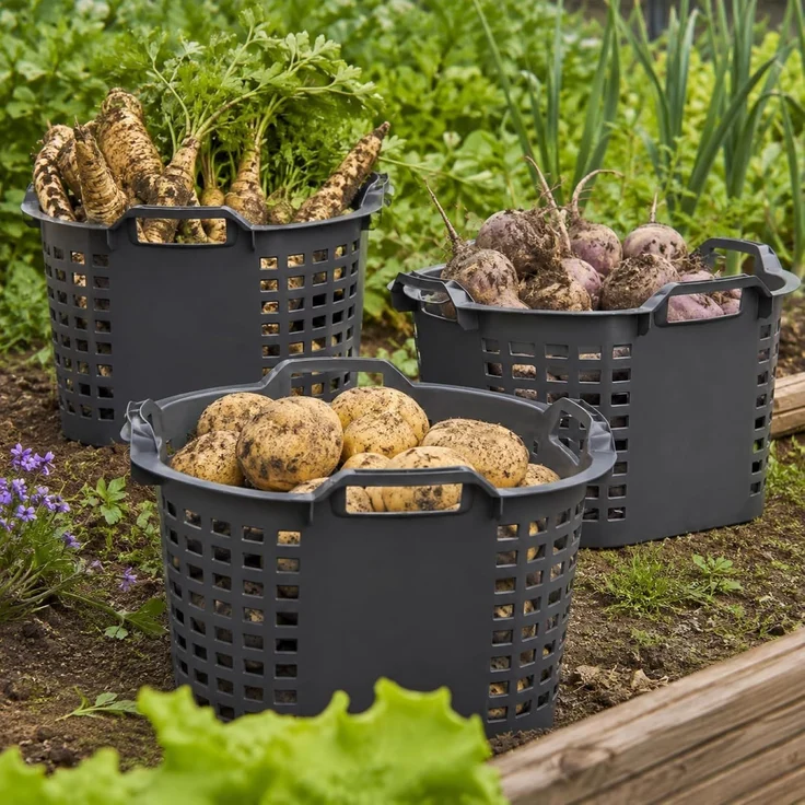 Erntekörbe Gartenkorb groß Lebensmittelecht 50L Obstkorb 54x31cm ineinander & übereinander stapelbar | Made in Germany als Obstkorb, Laubkorb und vielseitiger Erntekorb – Bild 2