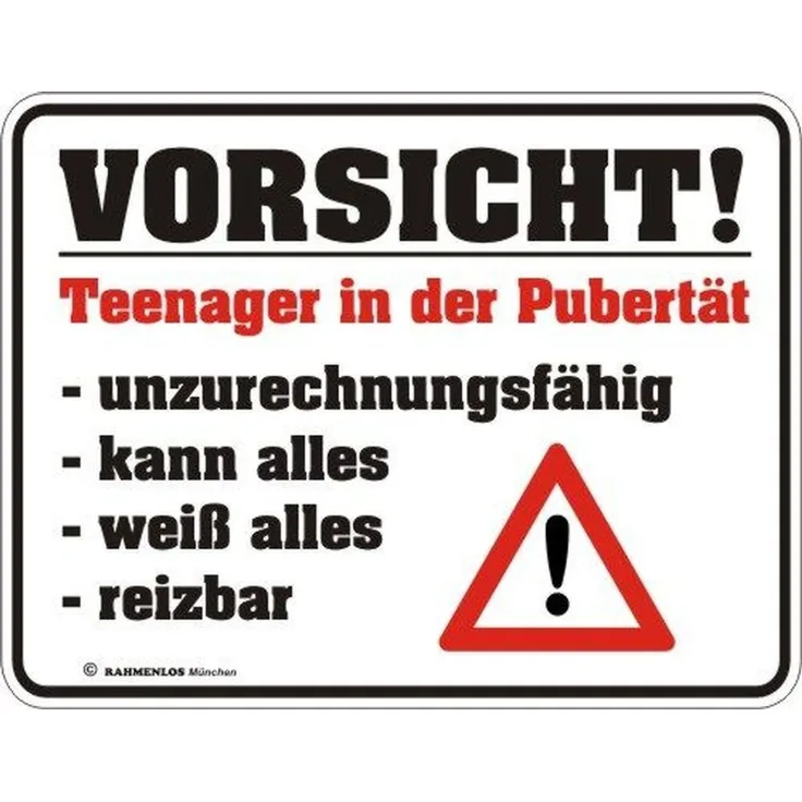 RAHMENLOS Original Blechschild für genervte Eltern: Vorsicht Teenager in der Pubertät! Unzurechnungsfähig, kann Alles, weiß Alles, reizbar Nr. 3241