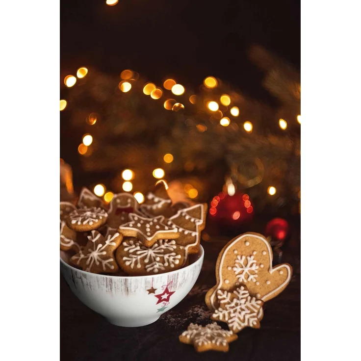 Seltmann Weiden Life Christmas Schüssel ø 15,5 cm 6er Set – Bild 2