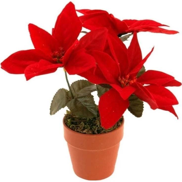 Home Styling Collection künstlicher Weihnachtsstern
