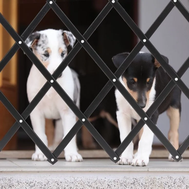 Ausziehbares Hundeabsperrgitter schwarz – Bild 5