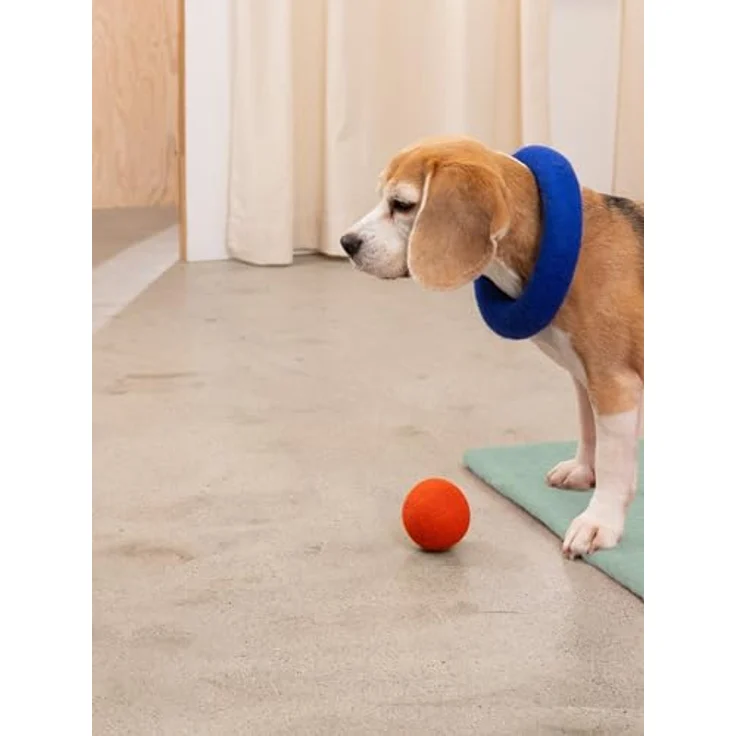 myfelt Tierball Filz Ball Set, reiner Schurwolle, Zweifarbiges Hundeball Set (2-tlg) 7 cm, handgefertigt, Unterstützt die Zahnpflege – Bild 6