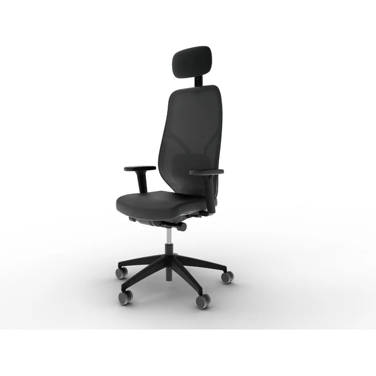 Ergotopia MasterBack Style L, ergonomisch inkl. Synchronmechanik, verstellbarer Kopfstütze & 3D+ Armlehnen, Schwarz