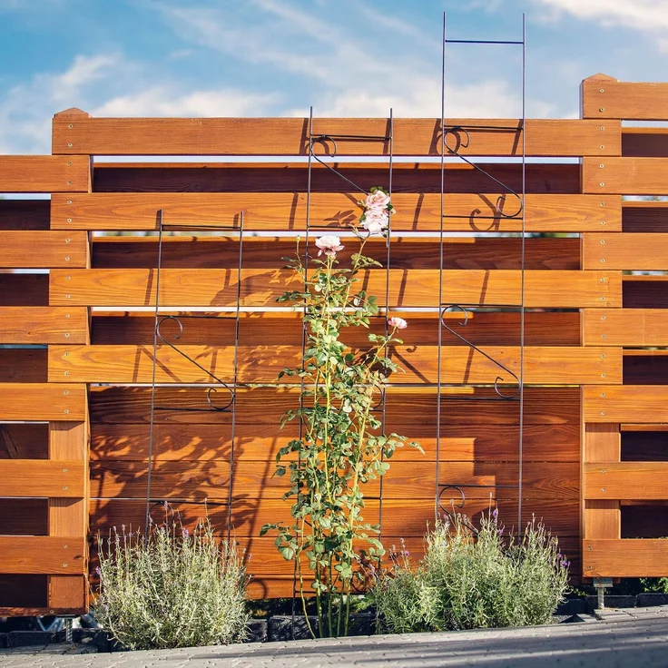KADAX Gartenleiter, Gartenstütze für Blumen, Rosen, Kletterer, 150 cm, Pergola – Bild 6