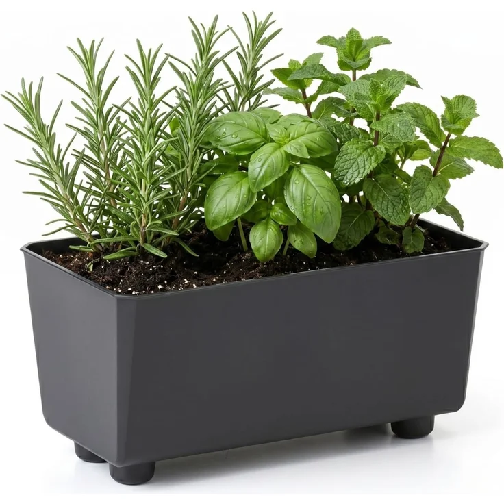 Lamela Rechteckiger Pflanzkasten mit eleganten Füßen – Schwarzer Blumenkübel aus robustem Kunststoff 28,5x17 cm, 4,2L – Wetterfest & Pflegeleicht - für Innen & Außen, Schwarz