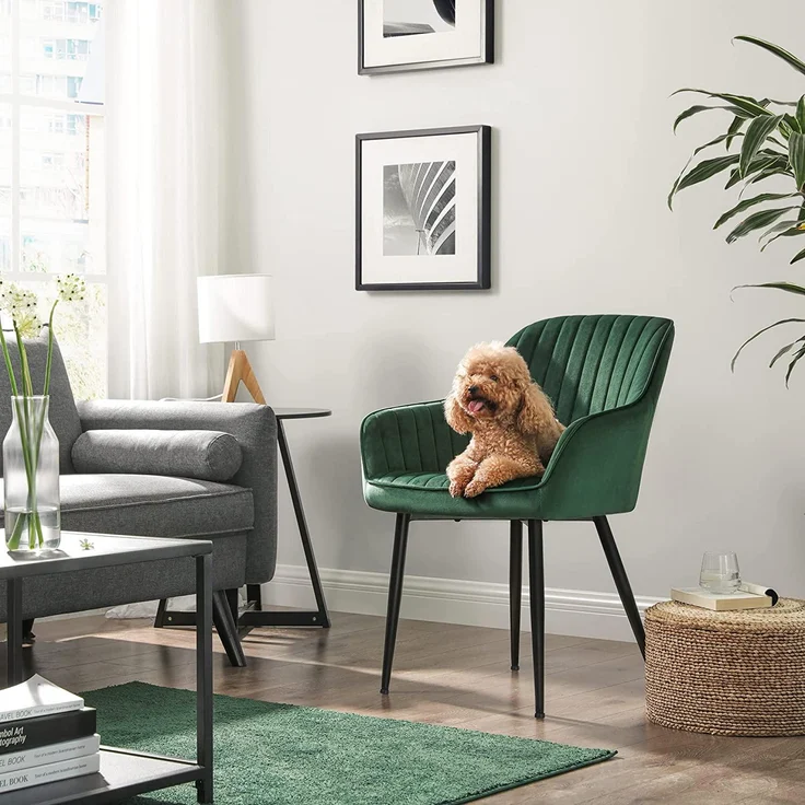 Esszimmerstuhl Loungesessel mit Armlehnen Samtbezug Sitzbreite 49 cm Belastbarkeit 110 kg Metallbeine für Esszimmer – Bild 3