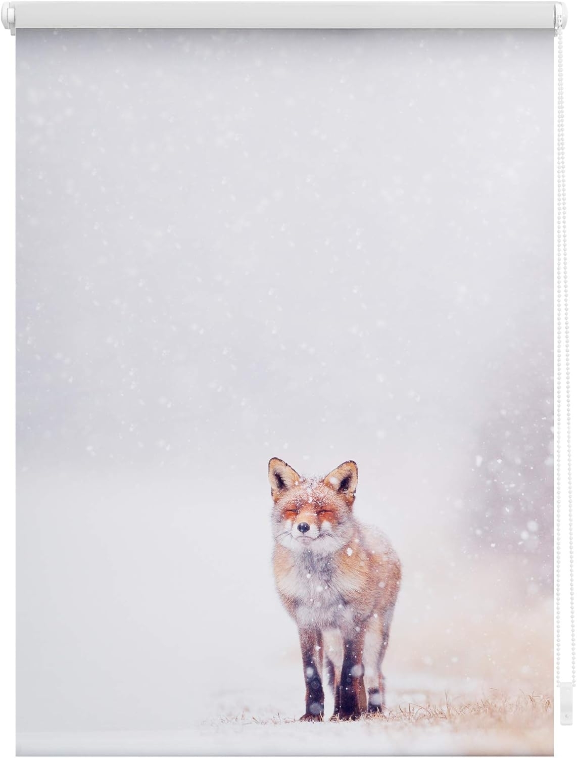 Seitenzugrollo Klemmfix Motiv Fuchs im Schnee, LICHTBLICK ORIGINAL, Lichtschutz, ohne Bohren, freihängend, Klemmfix, bedruckt