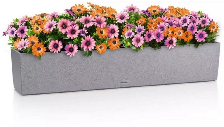 LECHUZA-Pflanzgefäß BALCONERA Stone 100 steingrau, Balkonkasten mit Bewässerungssystem, Wasserstandsanzeiger und Pflanzeinsatz, Stein-Optik, 99 x 19 x 19 cm, 15438