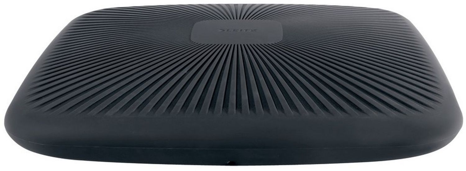 Leitz Sitzkissen Active Balance 65390089 grau