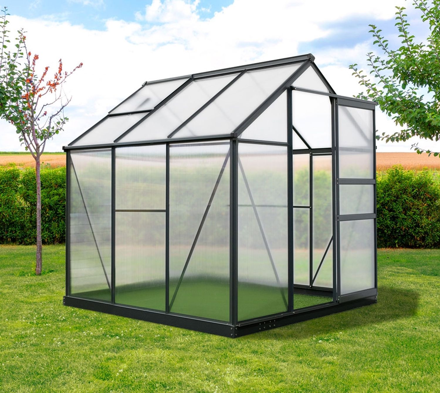 Westmann Aluminium Gewächshaus Flora 66 |