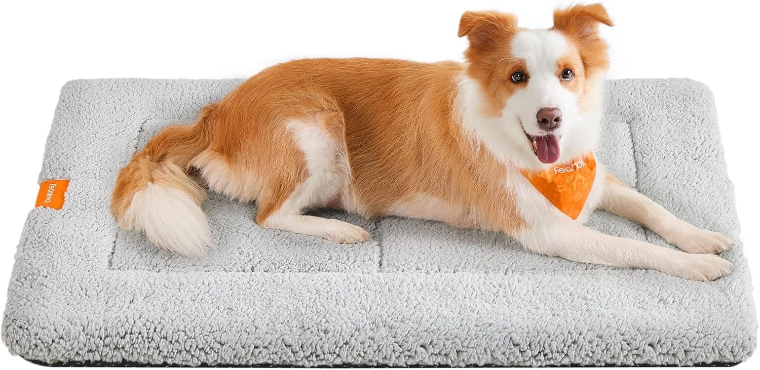 Feandrea Hundedecke, Haustier Decke, für Hunde, Katzen, 105x70 cm, XL, maschinenwaschbar, trocknergeeignet, rutschfest, hellgrau PPB020G01