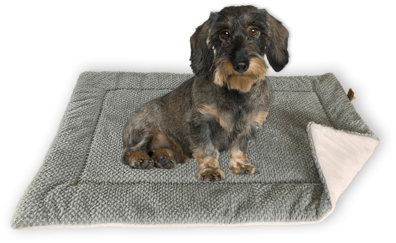 FLUFFINO® Tierdecke Hundedecke/Hundekissen - Wildlederimitat - Größe S (73 x 45 cm) - grau