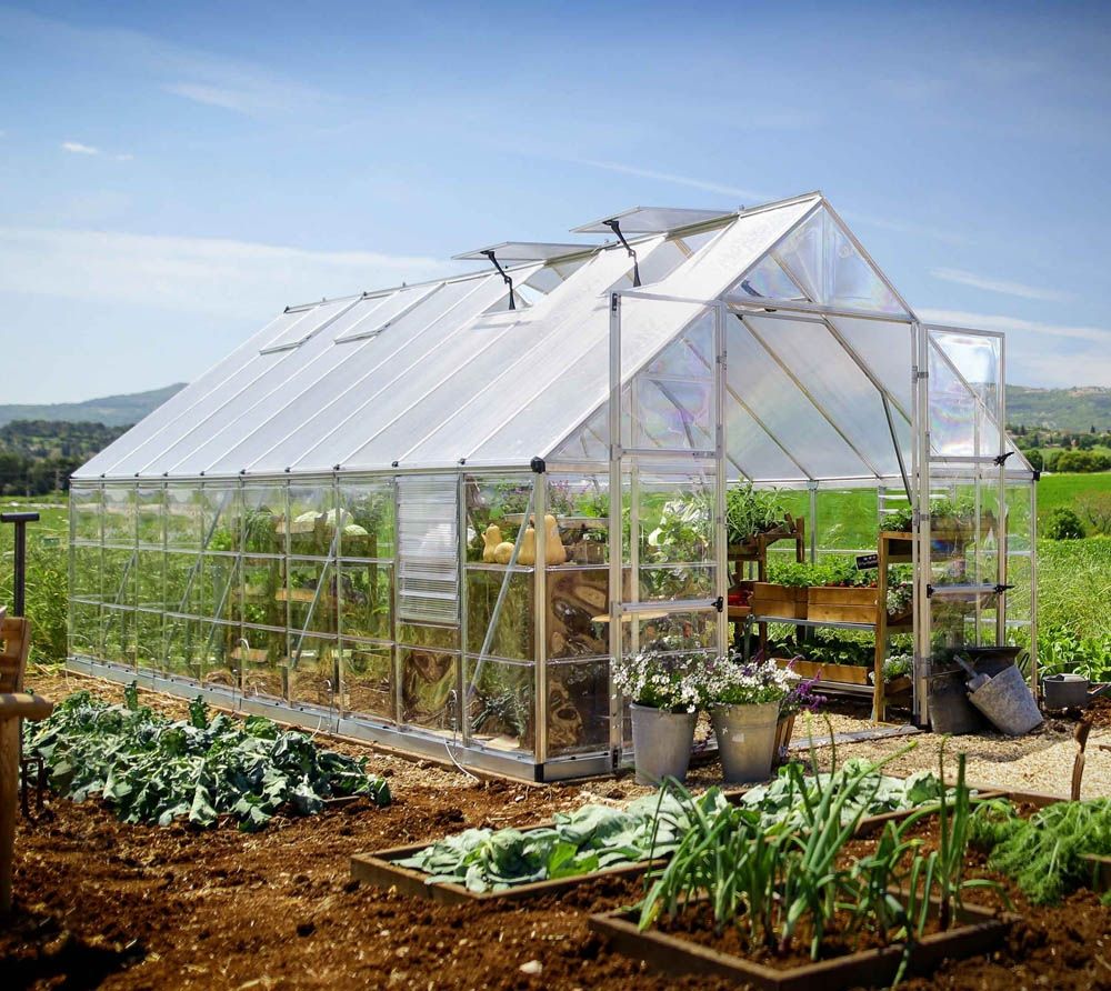 Palram - Canopia Aluminium Gewächshaus Balance