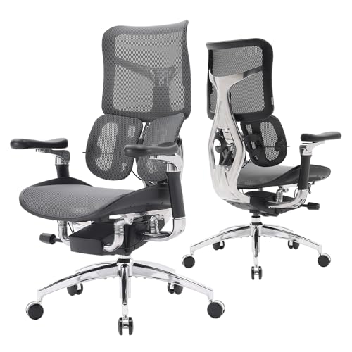 SIHOO Doro S300 Ergonomischer Bürostuhl, Computerstuhl, Gaming-Stuhl mit dualem dynamischem Lendenwirbelstützsystem, 6D-koordinierten Armlehnen, verstellbarem Rollstuhl (Schwarzem Samt-Mesh)