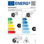 Roadmarch Winter X Pro 888 205/50R17 93 H