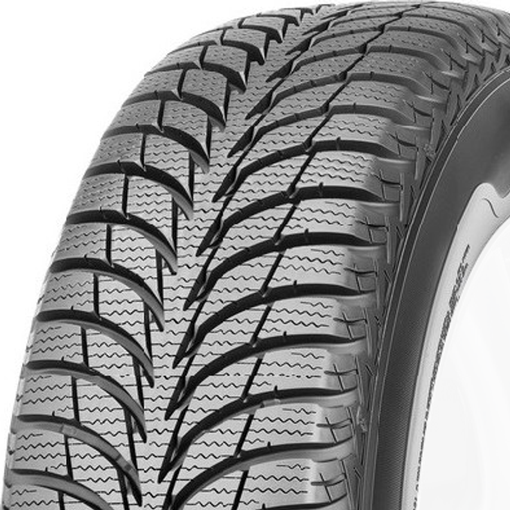 Sava Eskimo Ice 195/65R15 95 T