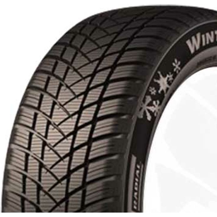 GT Radial Winterpro 2 Evo 205/55R16 91 H