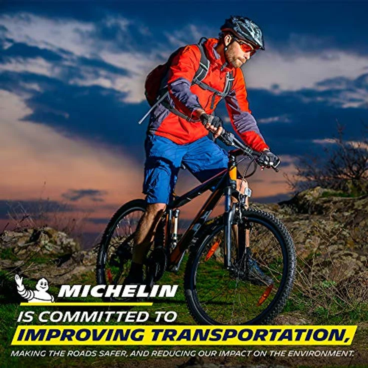 Michelin Wild Enduro Rear, Veloreifen (29 x 2.40, 61-622) mit GUM-X 3D-Mischung, E-Bike Ready und Pinch Protection – Bild 2