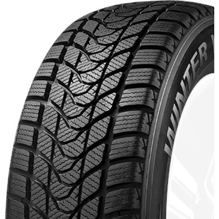 Delinte Winter WD1 205/55R16 91 H