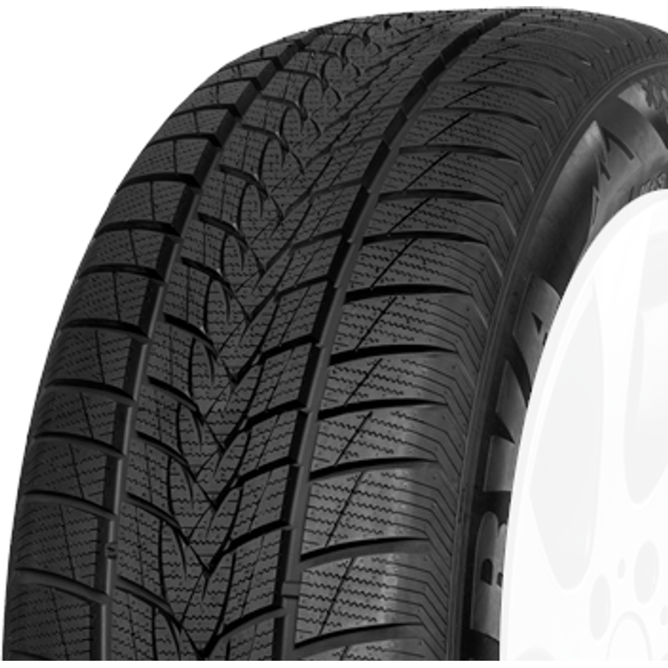 Minerva Frostrack UHP 225/55R19 99 V