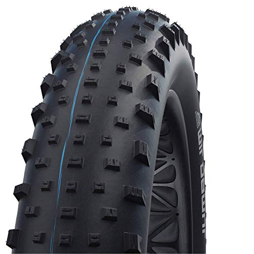 Schwalbe Fat-Bike Reifen (26 x 4.00, 100-559) mit SnakeSkin, Tubeless Easy und Addix Speedgrip