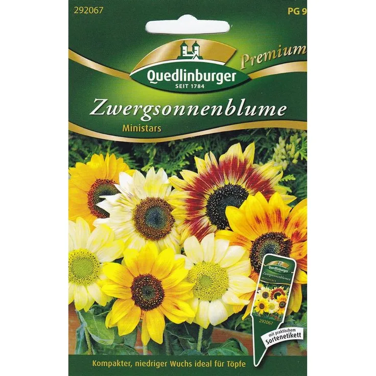 QUEDLINBURGER Zwergsonnenblumen, Ministars
