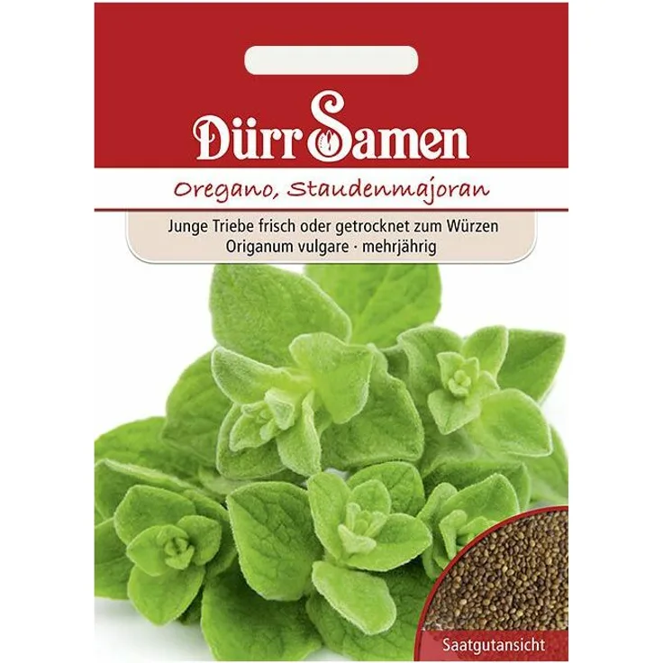 DÜRR-SAMEN Oregano Staudenmajoran Oreganosamen 