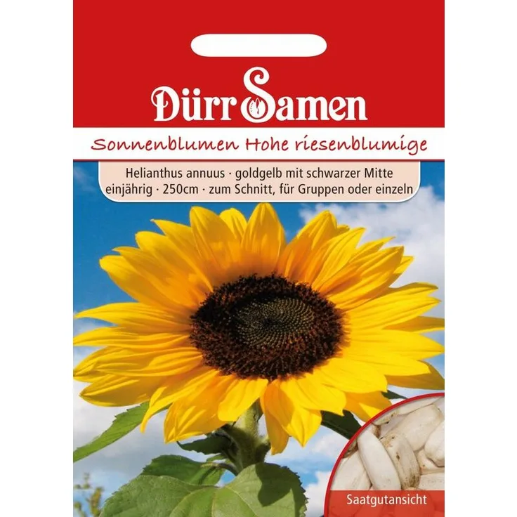 DÜRR-SAMEN Dürr-samen - Sonnenblume riesenblumig Sonnenblumensamen 