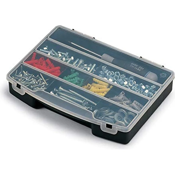 Pro Organizer 10
