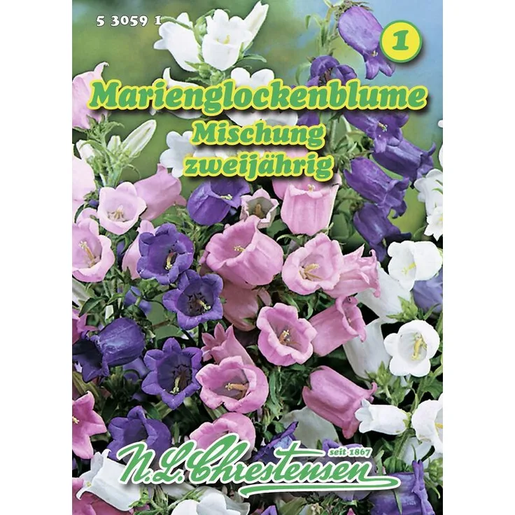 N.L. CHRESTENSEN Marienglockenblume Mischung Glockenblumensamen 