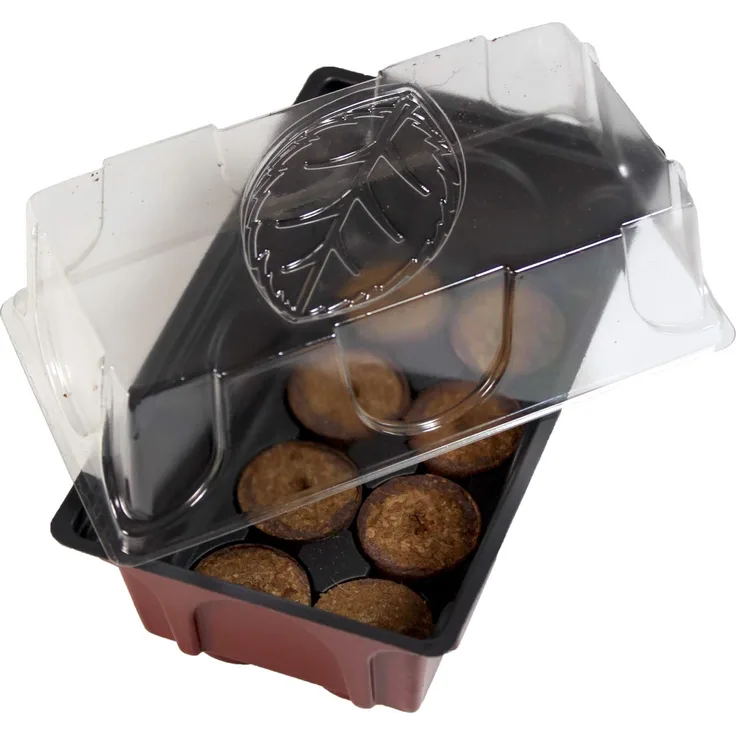 Windhager Zimmer-Gewächshaus Mini inklusiv 8 Quelltabs, terracotta - anthrazit, 11 x 19 x 6 cm, 06842