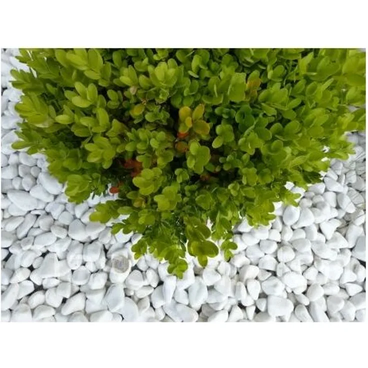Pure White Pebble Kaliber 12-24 mm Bulk Big-Bag 25 M²