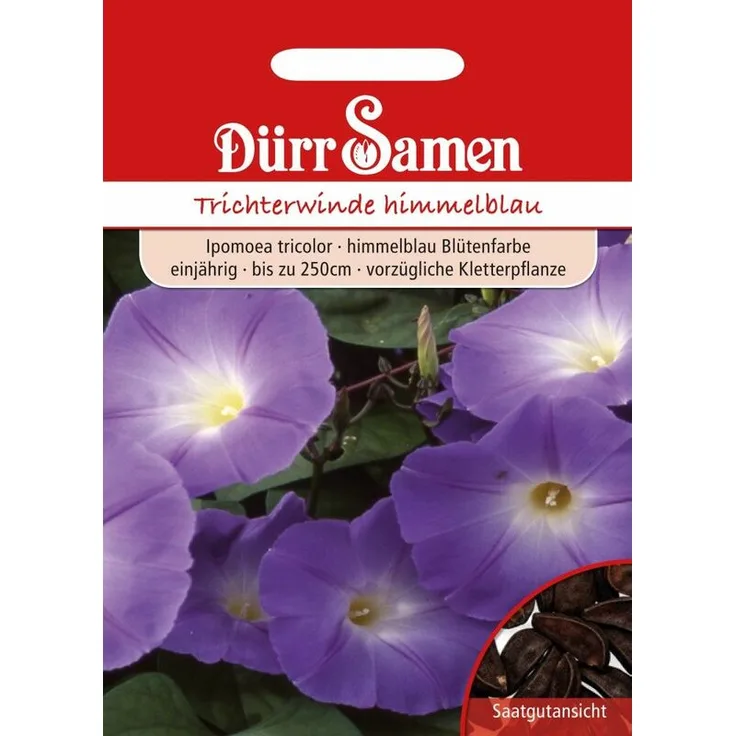DÜRR-SAMEN Dürr-samen - Trichterwinde himmelblau | Trichterwindensamen 